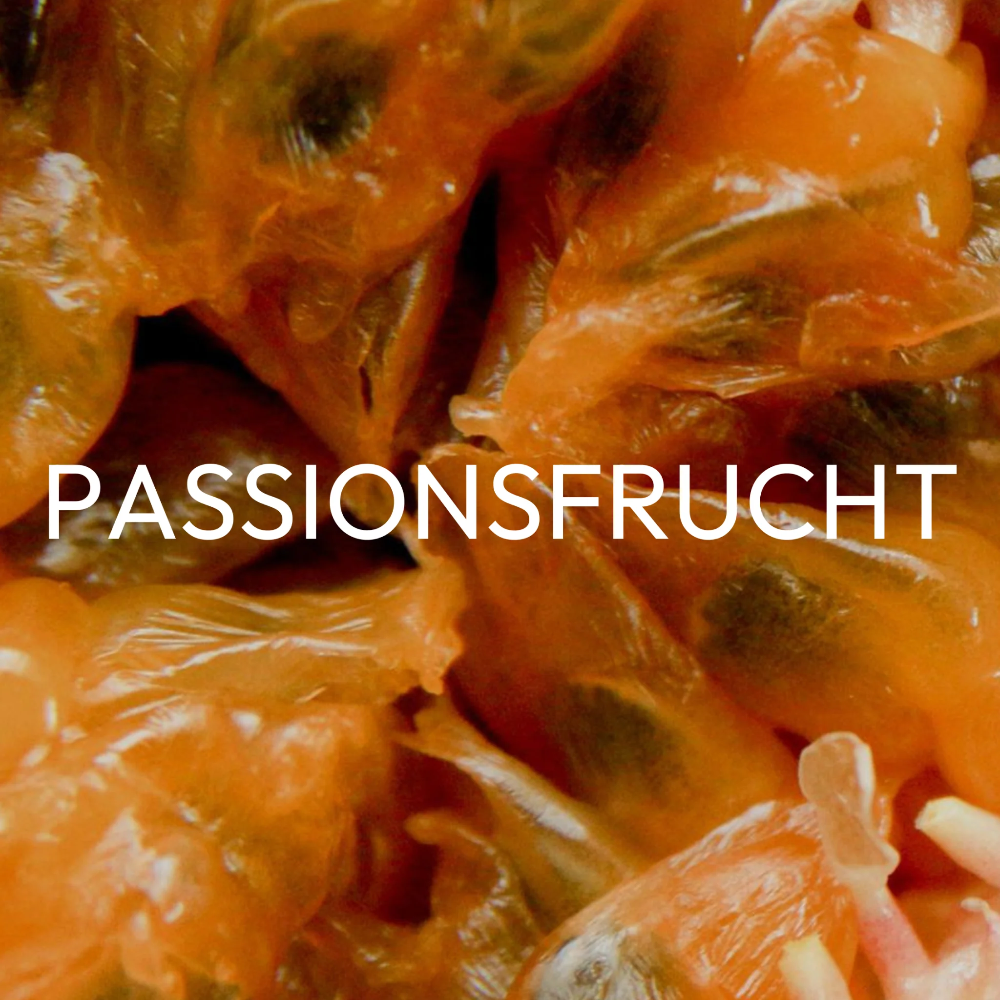 Vorschaubild 8