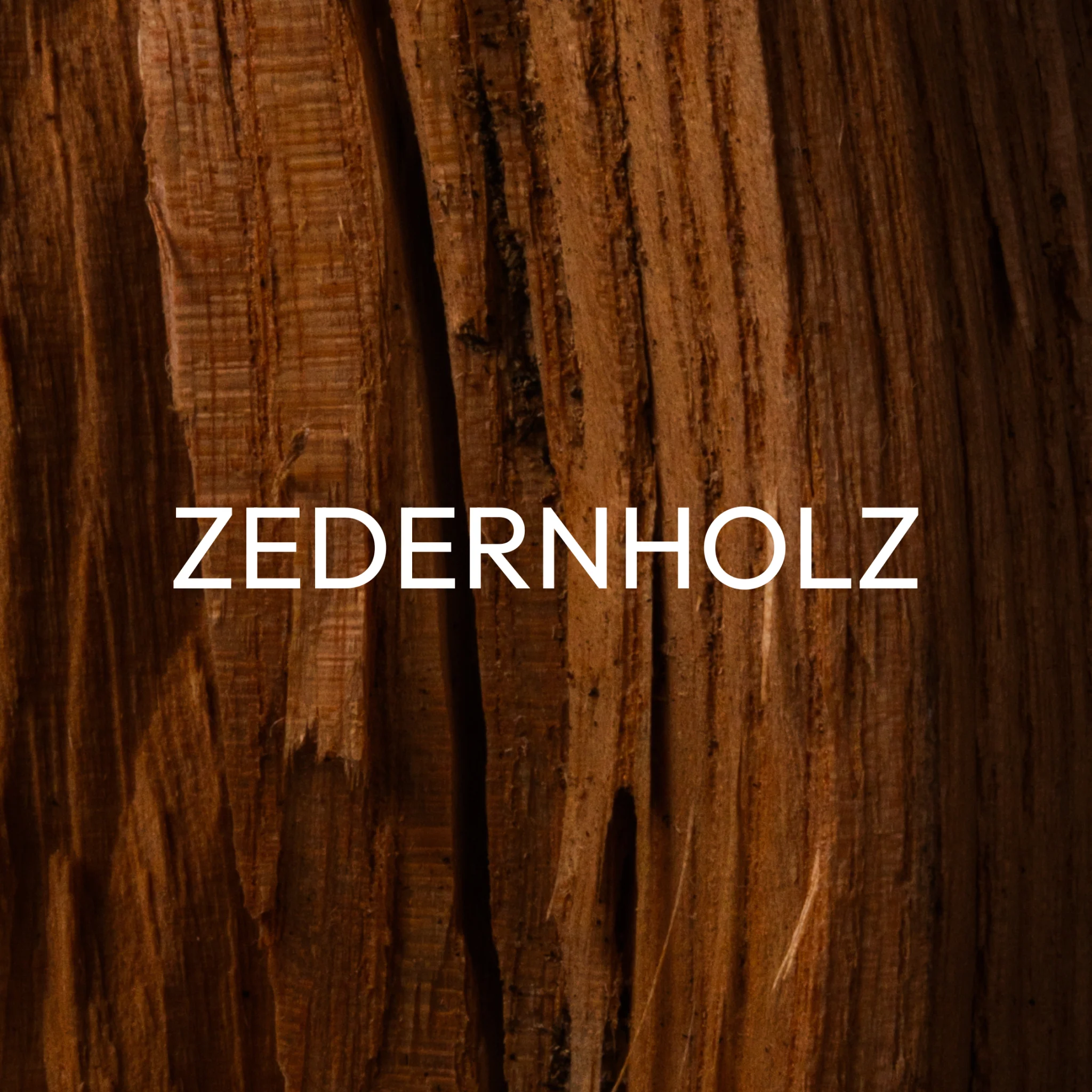 Vorschaubild 9