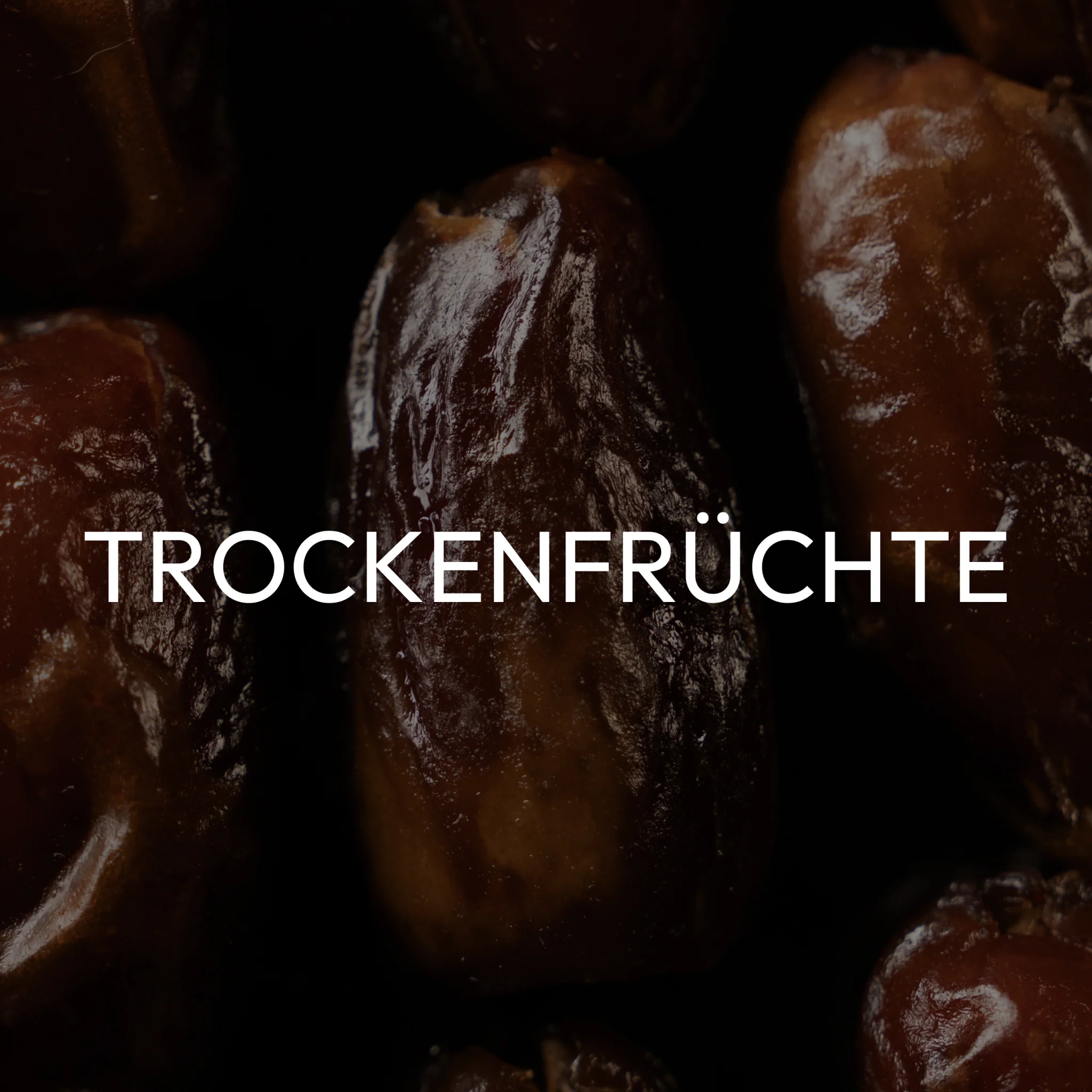 Vorschaubild 8