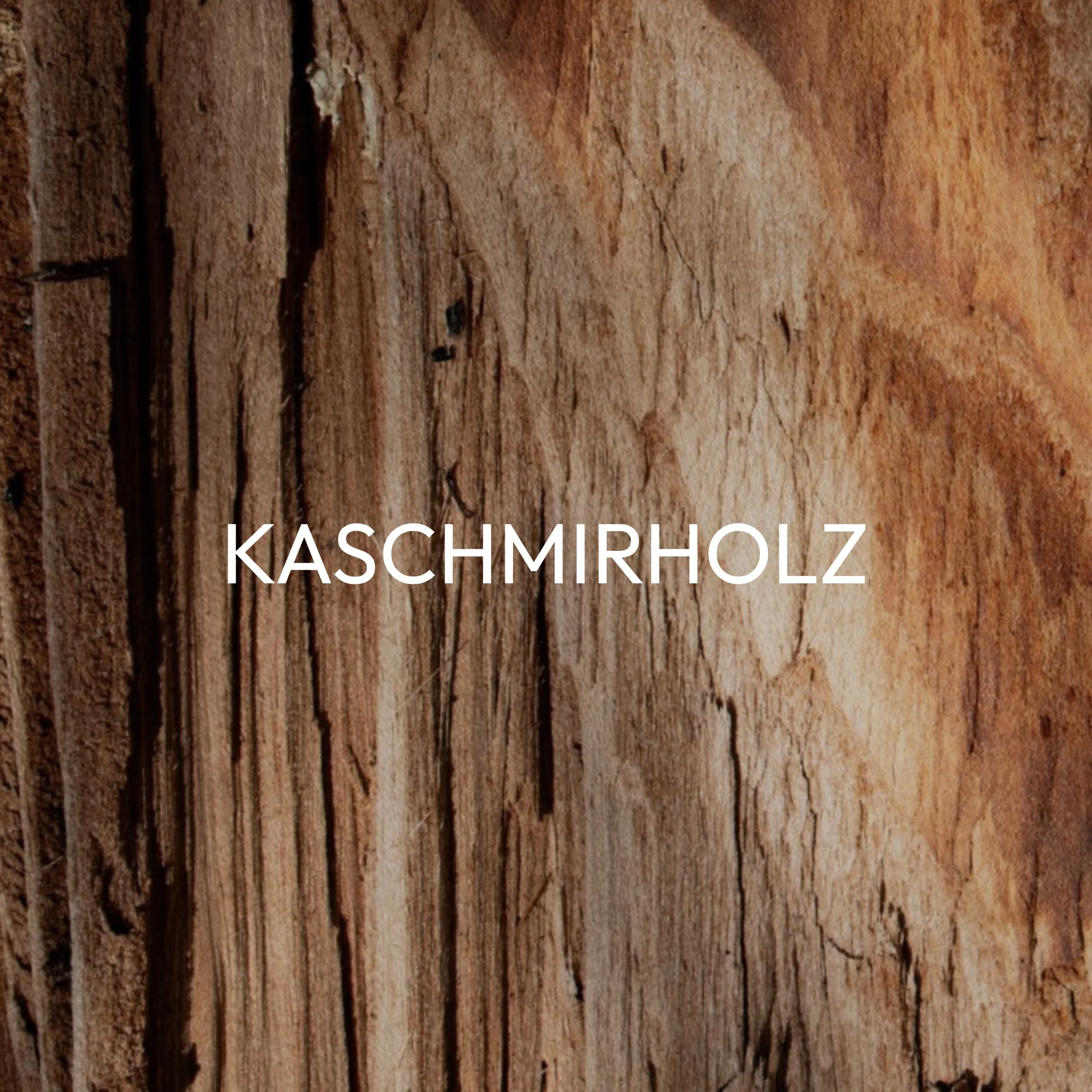 Vorschaubild 12